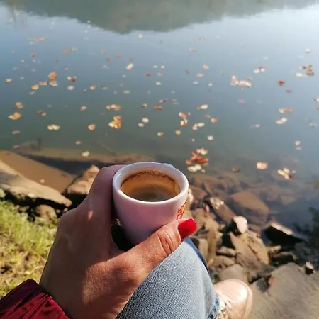 Vikendica Na Drini Drinski Odmor 펜션 Crnca