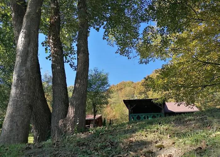 Vikendica Na Drini Drinski Odmor * Crnca